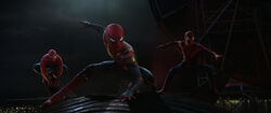 The Three Spider-Men