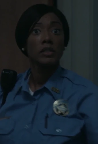 John Paulson visual data 3