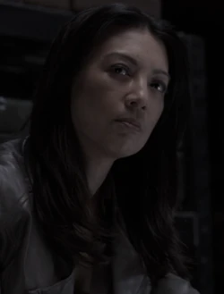 MelindaMayDestroyedEarth