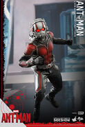 Ant-Man Hot Toys 2