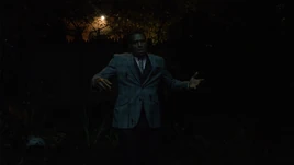 Assassination of Pistol Pete