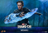 Mandarin Hot Toys10