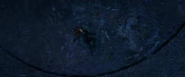 Black Widow's Death