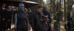 Guardians (Avengers Endgame)