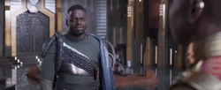 W'Kabi habla sobre los ideales de N'Jadaka con Okoye.