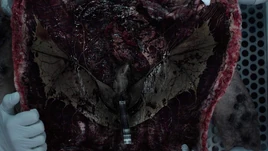 AlienZombieBirdParasite