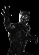 Blackpanther