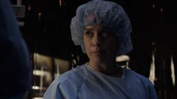 Piper-HairNet