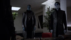 Касиус и  просят обновления от .