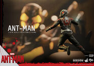 Ant-Man Hot Toys 15