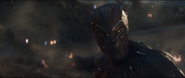 Black Panther (Endgame)