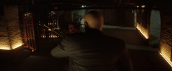 Adam vs. Fisk