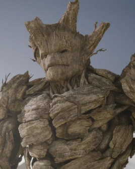 Groot Perfil