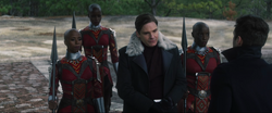 Dora Milaje & Baron Zemo