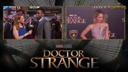 Chadwick Boseman on Exploring the Black Panther at Marvel's Doctor Strange Red Carpet Premiere