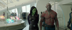 Gamora habla con Drax acerca de Ronan