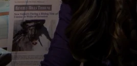 Beverly Hills Tribune