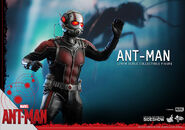 Ant-Man Hot Toys 7