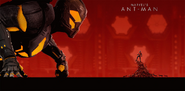 Bluray Box - Ant-Man