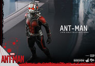 Ant-Man Hot Toys 10