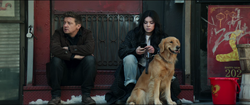 Clint Barton, Kate Bishop & Lucky the Pizza Dog