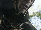 Corvus Glaive