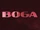 Boga