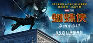 FFH Chinese Banner 03