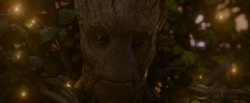 Weedegroot-tears-gotg