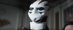 White Tiger Mask