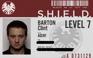 Agent Clint Barton