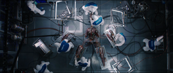 S.W.O.R.D. dissecting Vision