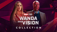 Wanda and Vision Collection