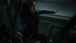 May kills the shrike