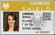 Agent Jemma Simmons