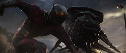 Giant-Man punches a 