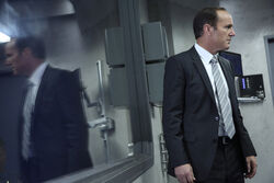 The asset set pics