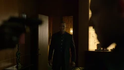 ZipFindsDiamondbackThreateningShades