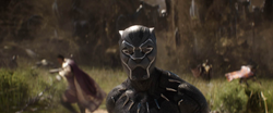 Black Panther (FallBack)