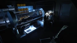 Sousa at the beginning of the time loop