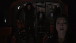 Мелинда Мэй-1591099458