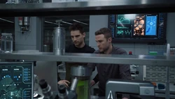 Фитц рассказывает  о  и 