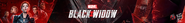 Black-Widow-Banner-2560x320