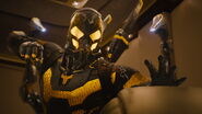 Antmanvyellowjacket