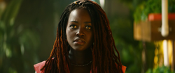 Black Panther II Trailer (34)