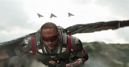 Falcon (2018)