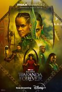 Wakanda Forever Now Streaming