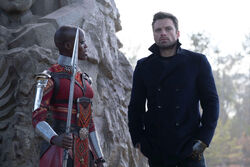 Bucky Barnes & Ayo