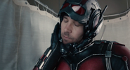 Ant-Man unmasked