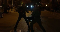 Diamondback fighting against 